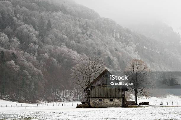 Vecchio Barn - Fotografie stock e altre immagini di Albero - Albero, Ambientazione esterna, Baracca - Struttura edile