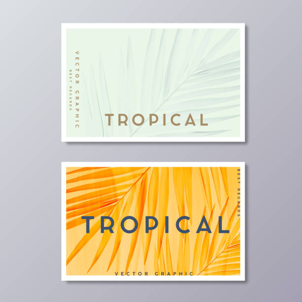 ilustrações, clipart, desenhos animados e ícones de tropical flores e folhagem, botânica, modelos de cartão boêmio. projeto de cartão-postal de casamento minimalista. decoração de folhas de palmeira. - business card design marketing branding