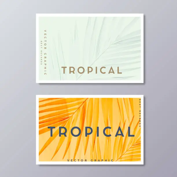 Vector illustration of Tropical florals and foliage, botanical, bohemian business card templates. Minimalist wedding postcard design. Palm leaves decoration.