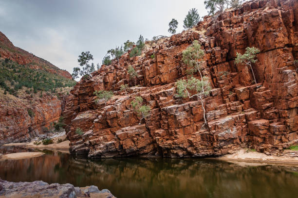 istock The Ormiston Gorge, West MacDonnell National Park, Northern Territory, Australia 918832048
