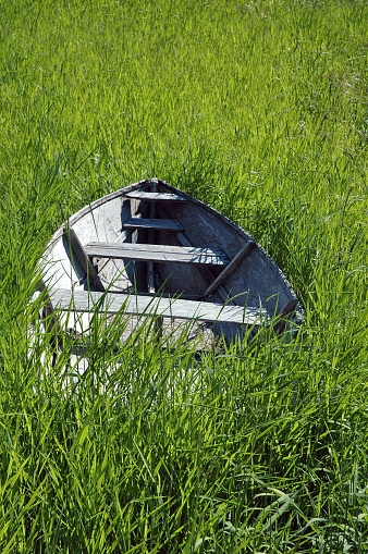 A sad old, weathered wooden rowboat surrounded by tall green grass in a field close to a stream