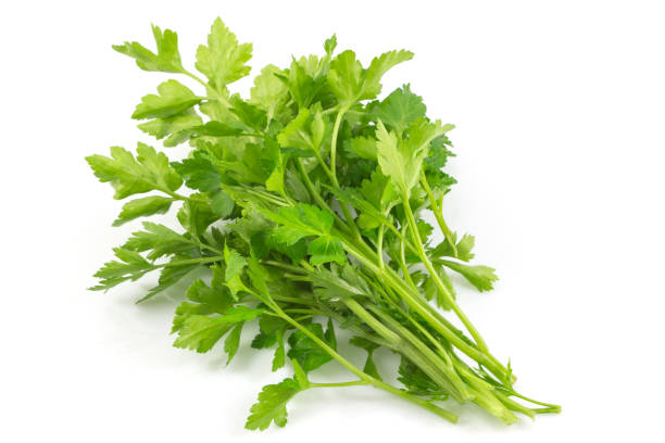 istock Fresh green parsley, herbs isolated on a white background with a clipping path. 918835754