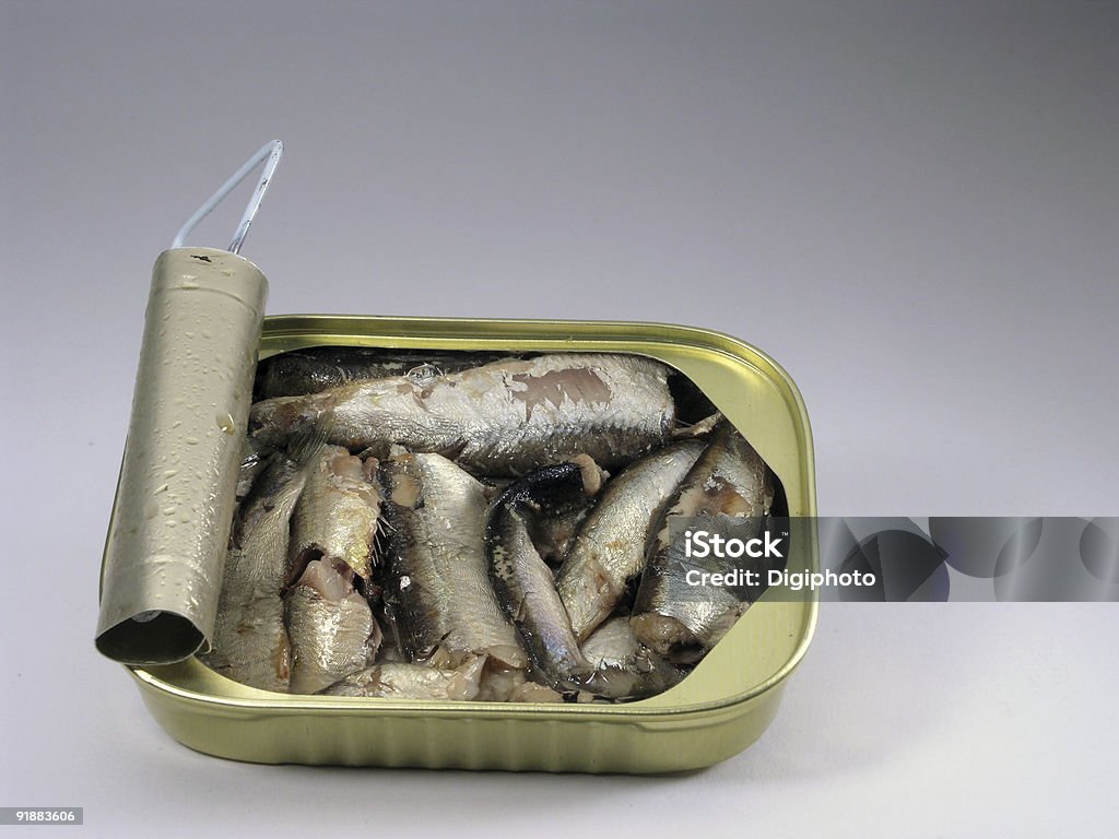 Sardine Can  Admiration Stock Photo