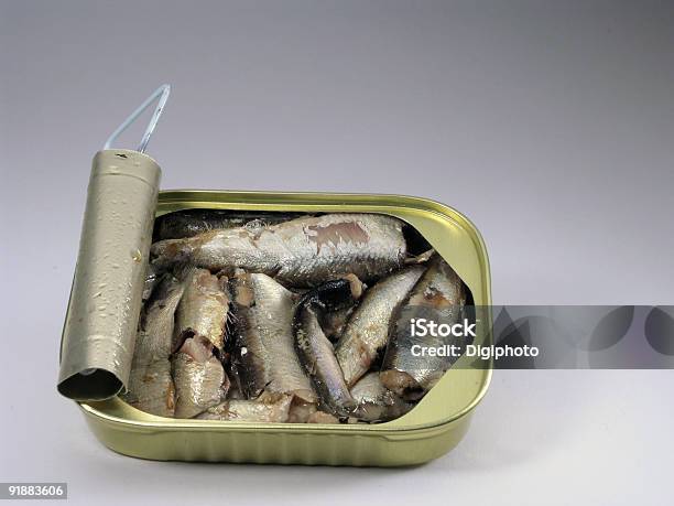 Sardine Can Stock Photo - Download Image Now - Admiration, Can, Canned Food