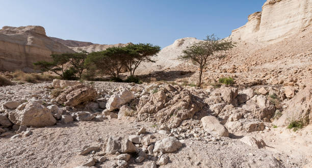 istock Stone desert in Israel 918836180