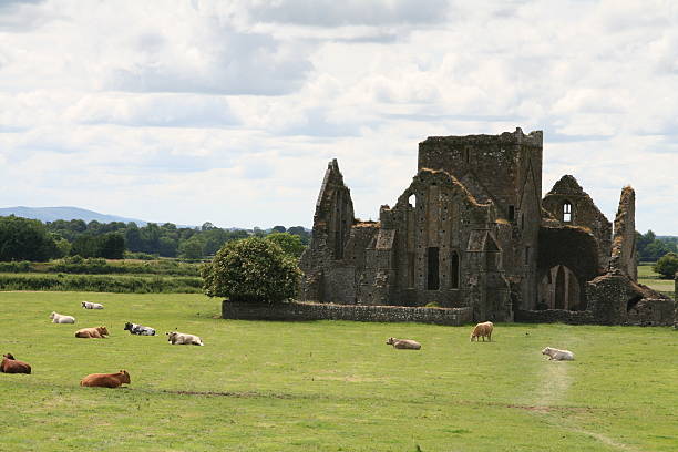 istock Ruins of Cashel 91883661