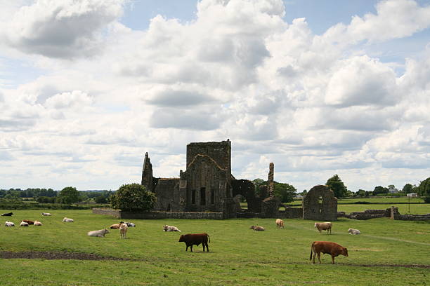 istock Ruins of Cashel 1 91883673