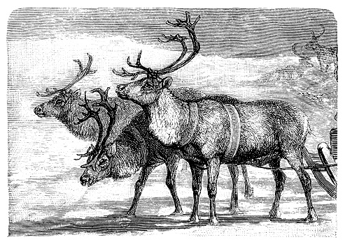 illustration of a Sleigh pulled by reindeer