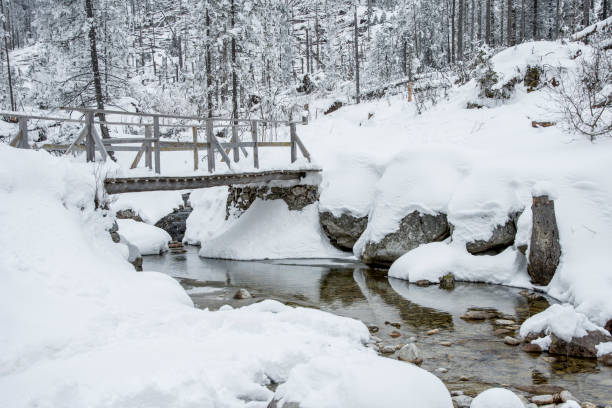 istock stream and wooden bridge in the winter tatra 918843876
