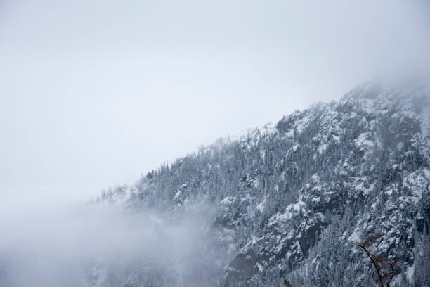istock snowy, fog winter landscape from Tatra 918844080