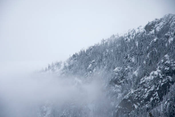 istock snowy, fog winter landscape from Tatra 918844088