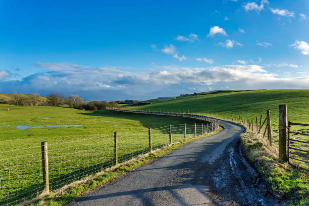 istock A winding country lane passing through green fields 918855760