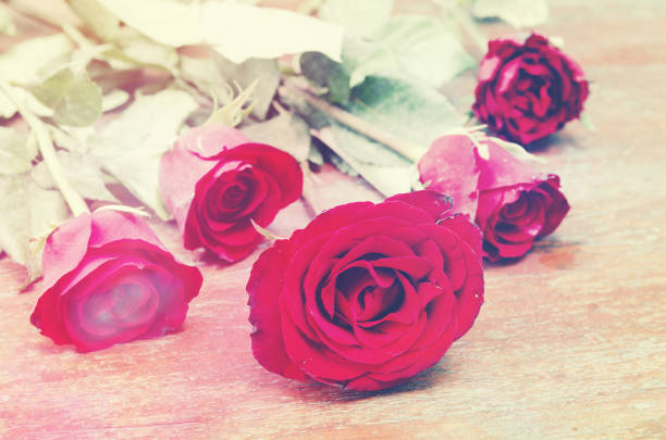 istock retro vintage rose background for valentine day 918861752