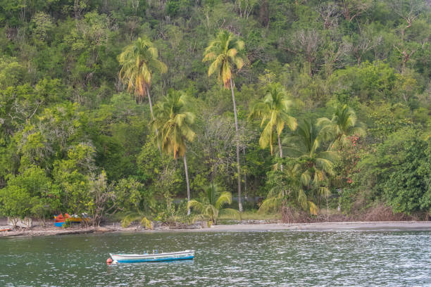 istock Panorama of a tropical beach, in Guadeloupe 918865080