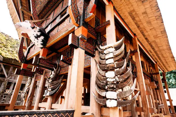 Photo of Part of tongkonan house with horns of buffaloes and carving, traditional torajan buildings. Ethnic village Kete Kesu in Tana Toraja, Rantepao, Sulawesi, Indonesia. Wide angle