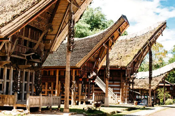 Photo of Tongkonan houses with horns of buffaloes and wood carving and paintings, traditional torajan buildings. Ethnic village Kete Kesu in Tana Toraja, Rantepao, Sulawesi, Indonesia. Wide angle