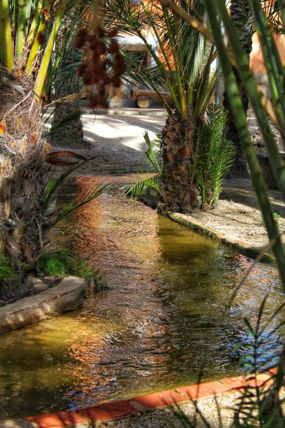 istock Ditch between palm orchards in Elche, Alicante 918869124