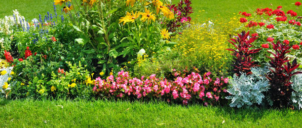 istock Summer flower bed and green lawn 918869634