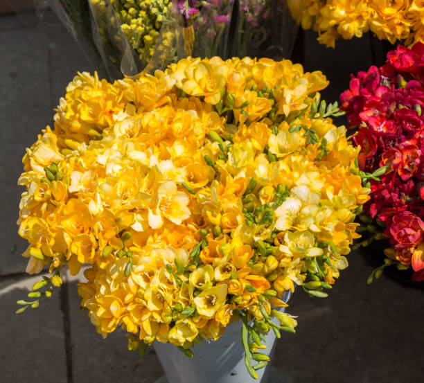 istock Colorful blooming   flowers in vase 918870458