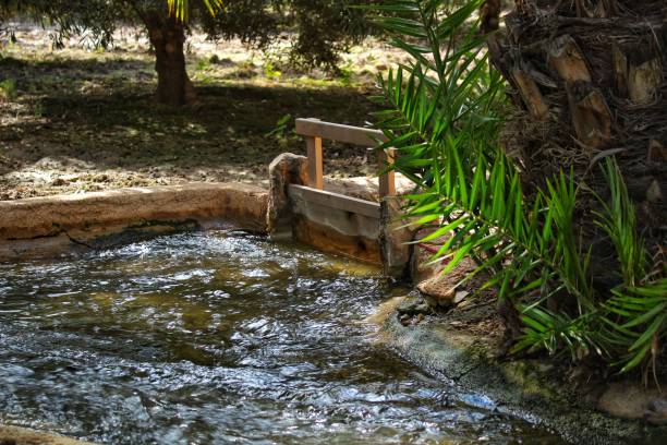 istock Ditch between palm orchards in Elche, Alicante 918872860