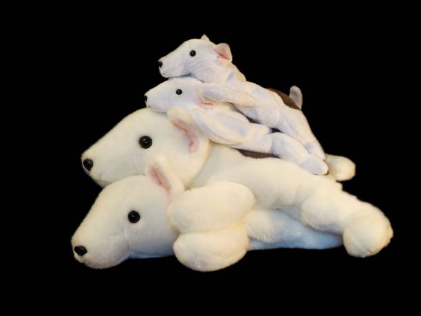 beautiful animal cartoon dolls, a pile of dogs or bears in different sizes, symbol of childhood, friendship, happiness and fun.  selective focus, die cut / isolated on black background. - new media imagens e fotografias de stock