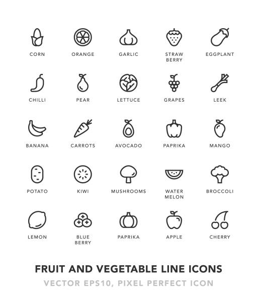 ilustrações de stock, clip art, desenhos animados e ícones de fruit and vegetable line icons - food prepared potato vegetable healthy eating
