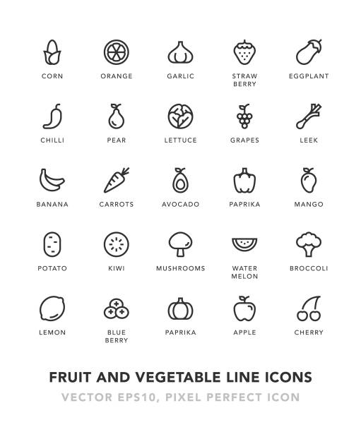 Fruit and Vegetable Line Icons Fruit and Vegetable Line Icons Vector EPS 10 File, Pixel Perfect Icons. raw potato vegetable illustration and painting symbol stock illustrations