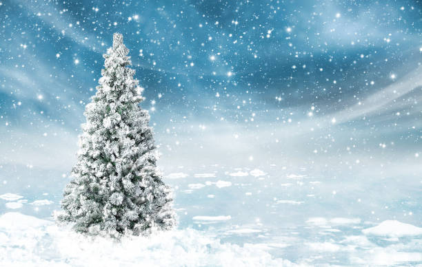istock Beautiful decorated christmas tree with white and golden present boxes in a snowy winter landscape 918896498