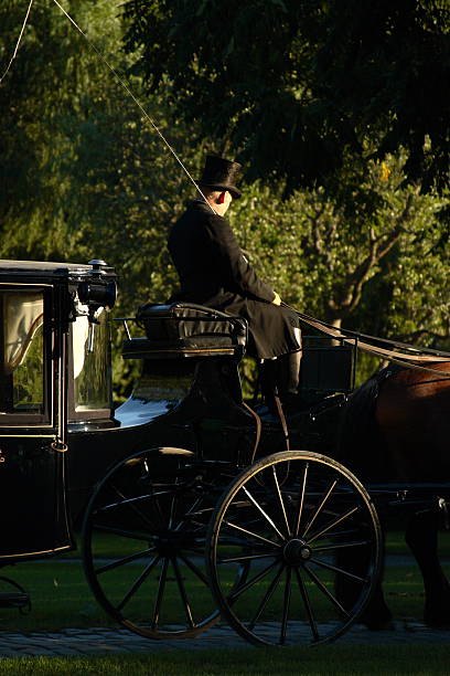 istock Horse and carriage driver 91890109