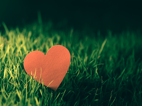 Heart red paper on green grass. Happy, Love, Valentine's day idea, sign, symbol, concept.