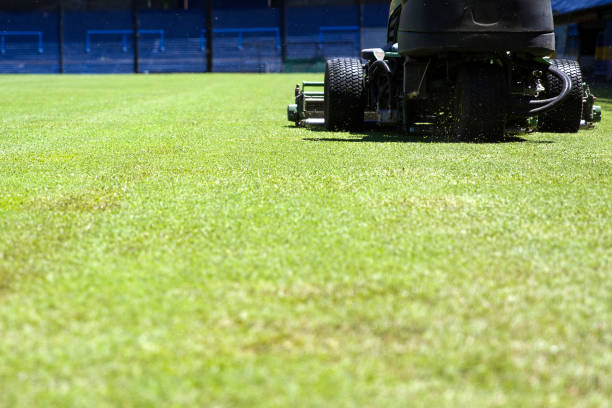 istock Lawnmower on the stadium 918906442