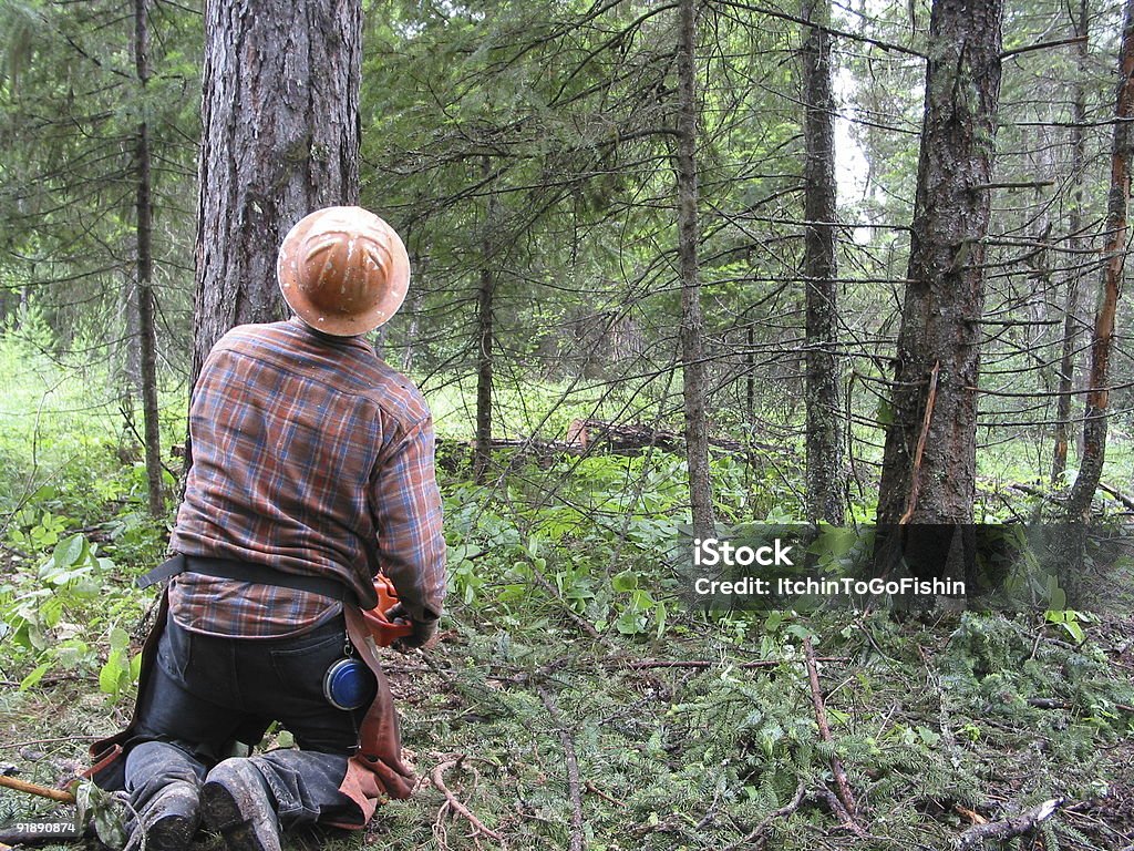 Montana registratore taglio di un albero#5 - Foto stock royalty-free di Albero