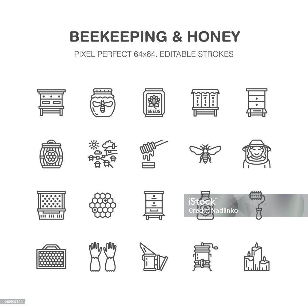 Beekeeping, apiculture flat line icons. Beekeeper equipment, honey processing, honeybee, beehives types natural products. Bee garden, apiary thin linear signs, organic farm shop. Pixel perfect 64x64 Beekeeping, apiculture flat line icons. Beekeeper equipment, honey processing, honeybee, beehives types, natural products. Bee garden, apiary thin linear signs, organic farm shop. Pixel perfect 64x64 Bee stock vector