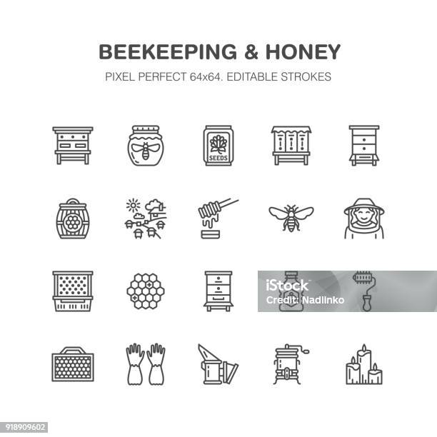 Beekeeping Apiculture Flat Line Icons Beekeeper Equipment Honey Processing Honeybee Beehives Types Natural Products Bee Garden Apiary Thin Linear Signs Organic Farm Shop Pixel Perfect 64x64 Stock Illustration - Download Image Now