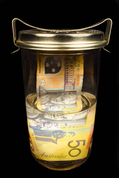 istock Preserving money 91891217
