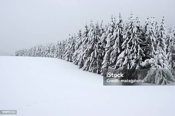 Foto de Paisagem De Inverno 01 e mais fotos de stock de Cinza - Descrição de Cor - Cinza - Descrição de Cor, Cobrindo, Congelado