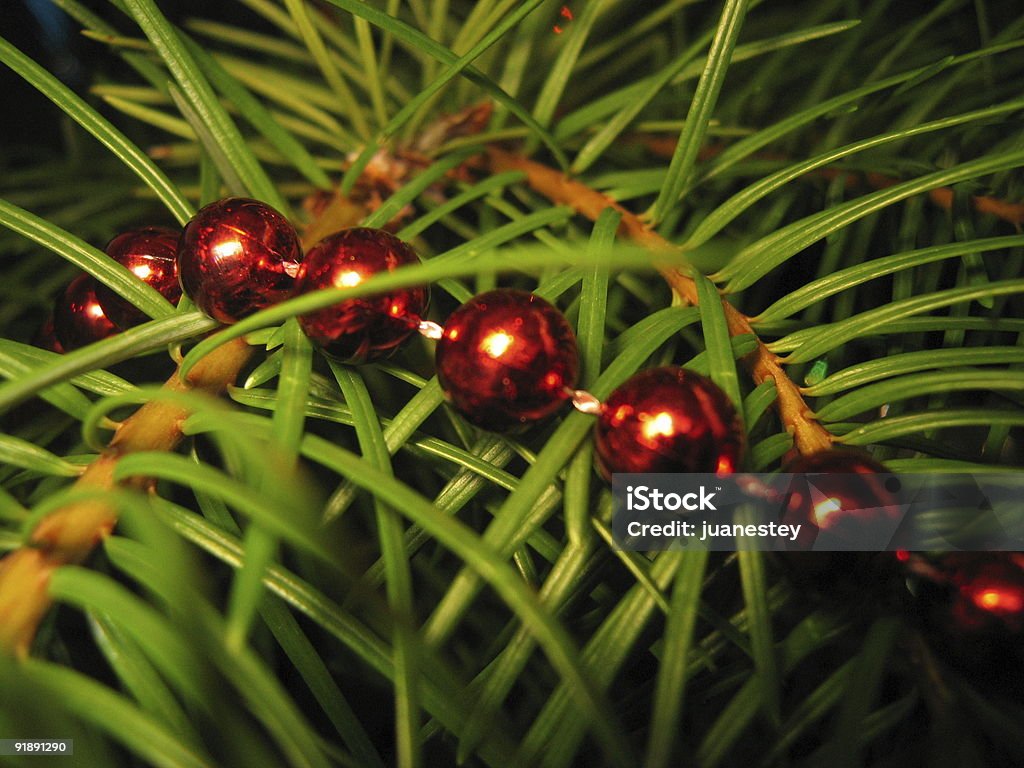 Weihnachts-Perlen - Lizenzfrei Baum Stock-Foto