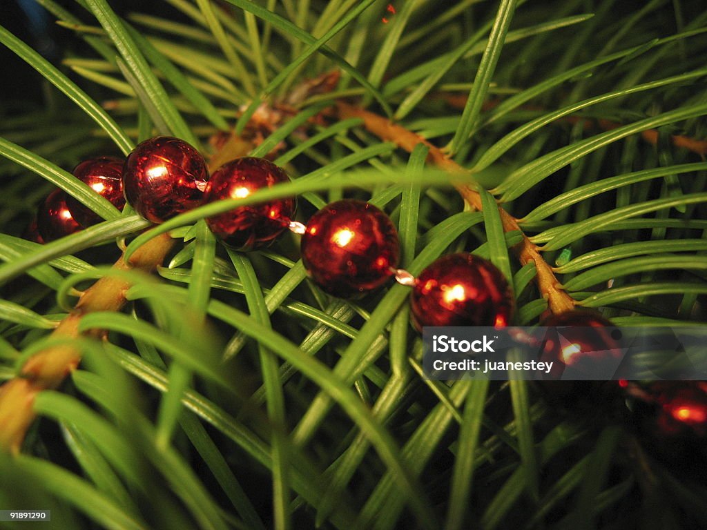 Christmass encapsulados - Foto de stock de Abalorio libre de derechos