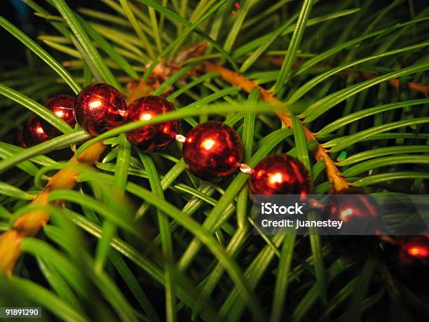 Christmass Esferas - Fotografias de stock e mais imagens de Abeto - Abeto, Agulha - Loja de Miudezas, Agulha - Parte de planta
