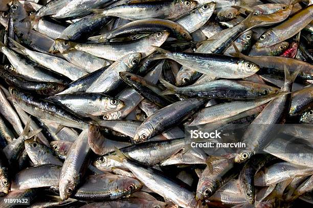 Foto de Peixinhos e mais fotos de stock de Animal morto - Animal morto, Cauda, Comer