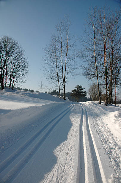 istock cross-country ski run 91891685