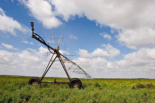 Irrigation stock photo