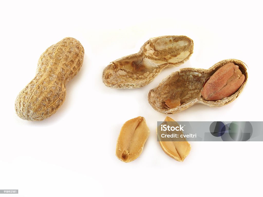 Peanuts  Animal Shell Stock Photo