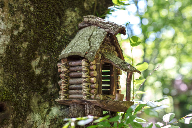 istock Handmade Birdhouse 918927286