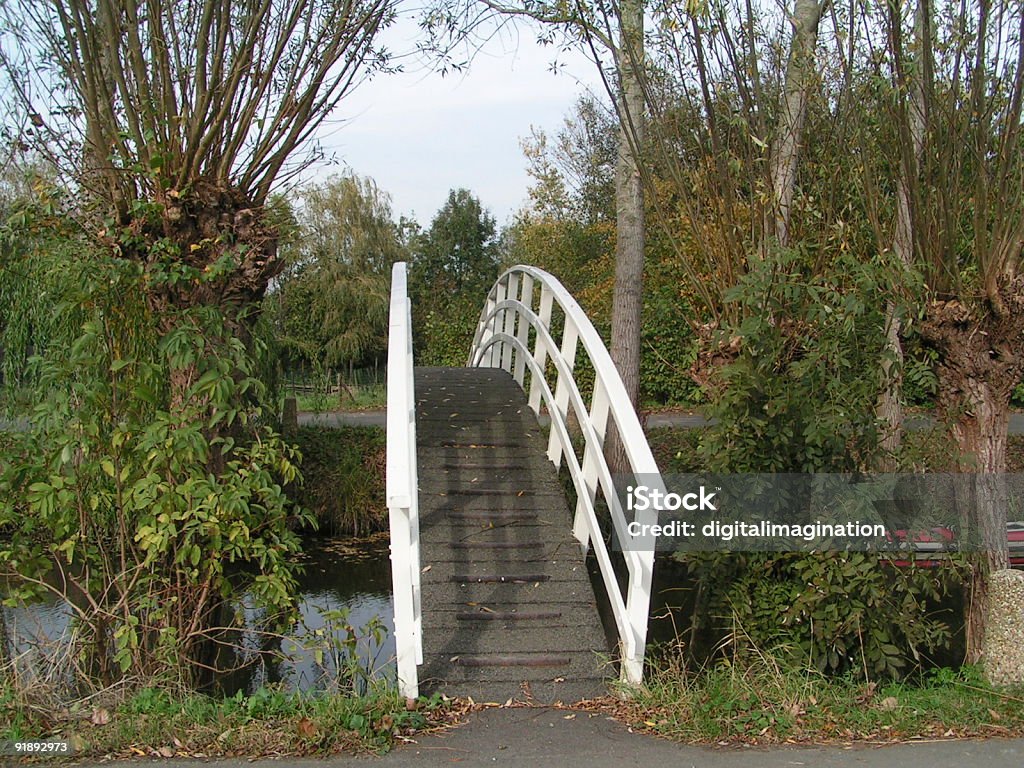 Holenderski bridge - Zbiór zdjęć royalty-free (Bez ludzi)