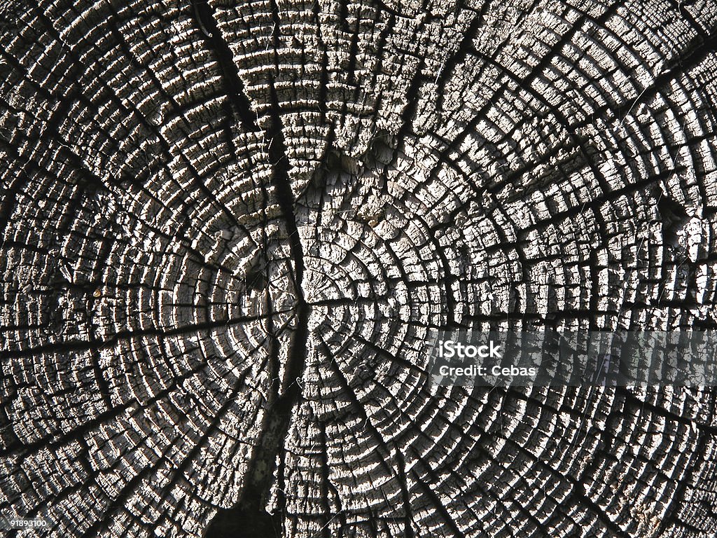 Holz texture - Lizenzfrei Abstrakt Stock-Foto