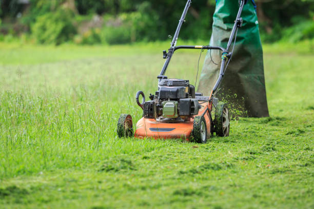 istock A worker mowing grass in the garden 918931454