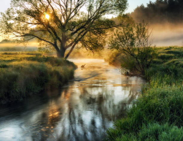 istock spring morning. dawn near a picturesque river 918931656