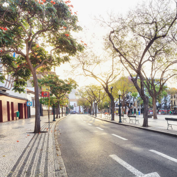 istock Downtown of Funchal, Madeira 918934584