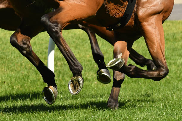 istock Horse racing action 918935138